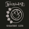 blink-182 - I Miss You