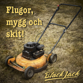 Flugor, mygg och skit - BlackJack