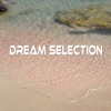 Dream Selection, 2015