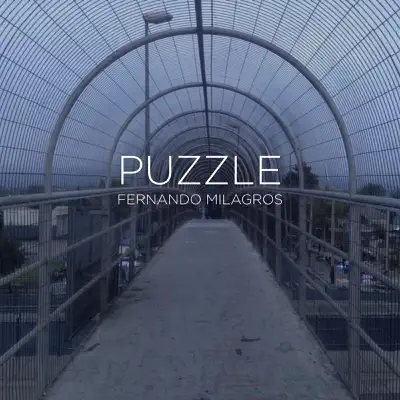 Puzzle (feat. Ruben Albarran) - Single - Fernando Milagros