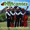 Los Traficantes - Tu Nuevo Carinito