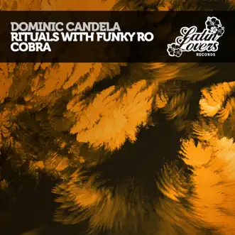 Rituals (Extended Mix) by Dominic Candela & Funky Ro song reviws