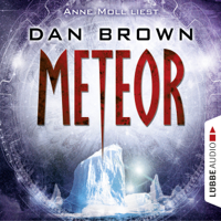 Dan Brown - Meteor artwork