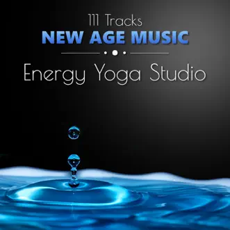 111 Tracks New Age: The Soul of Healing Meditations & Pure Energy Yoga Studio - Oasis Relaxation Music, Soothing Nature Sounds for Awakening, Therapy Session for Mindfulness Chakra Balancing by Various Artists album reviews, ratings, credits