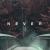 Never - Single