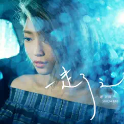 一走了之 - Single by Shiga Lin album reviews, ratings, credits