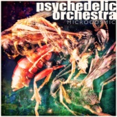 Psychedelic Orchestra - Apollo 17