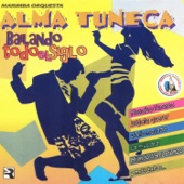 Bailando Todo el Siglo. Música de Guatemala para los Latinos artwork