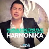 Harmonika (feat. Jovan Perišić & Aleksandar Olujić) artwork