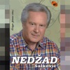Nedžad Salković - Nikada, Vise Nikada