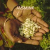 Jasmine - Single