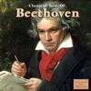 Ludwig Van Beethoven - Minuet