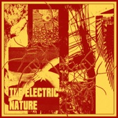 The Electric Nature - The Land of Nod
