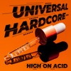 Universal Hardcore 2024 - High on Acid