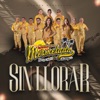 Sin Llorar - Single