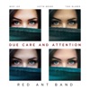 Due Care and Attention - Single