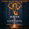 Wild (From Water For Elephants: Original Broadway Cast Recording) - Single
