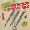 Mercury Thermometers - Single