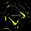 Labyrinth - Single