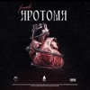 Apotoma - Single