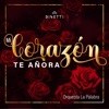 Mi Corazón Te Añora - Single