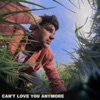 Can't Love You Anymore - Single