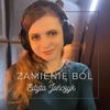 Zamienię Ból - Single