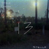 Band Called Stella - Steve Gnash