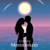 Menin erkem - Single