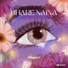 Bhare Naina - Single