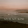 You're Not Alone (James Carter Remix) [feat. RY X] - Single