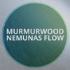 Nemunas Flow - Single