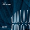 Driftwood - Single