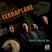 Elliott Sharp`s Terraplane - Twenty Dollar Bill