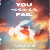 You Never Fail - Single