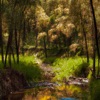 Arboles Del Rio - Arboles Del Rio