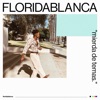 Floridablanca - "Mierda de Temas."