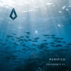 Purified Fragments XX - EP