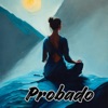 Probado - Single