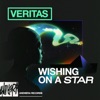 Wishing On a Star - Single