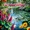 Etasonic - Nature's Garden (Extended Mix)