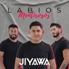 Labios Mentirosos - Single