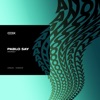 Pablo Say - Anomaly