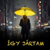 Így jártam - Single