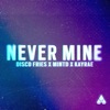 Disco Fries - Never Mine