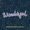 Wonderful - Single, 2024