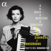 Ksenija Sidorova, Sascha Goetzel & Borusan Istanbul Philharmonic Orchestra - Beyond Bach (Arr. for Accordion by George Morton and Ksenija Sidorova)