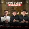 NO SÉ QUE ES GUAYABO - Single