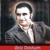 Əziz Dostum