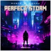 Perfect Storm - Single